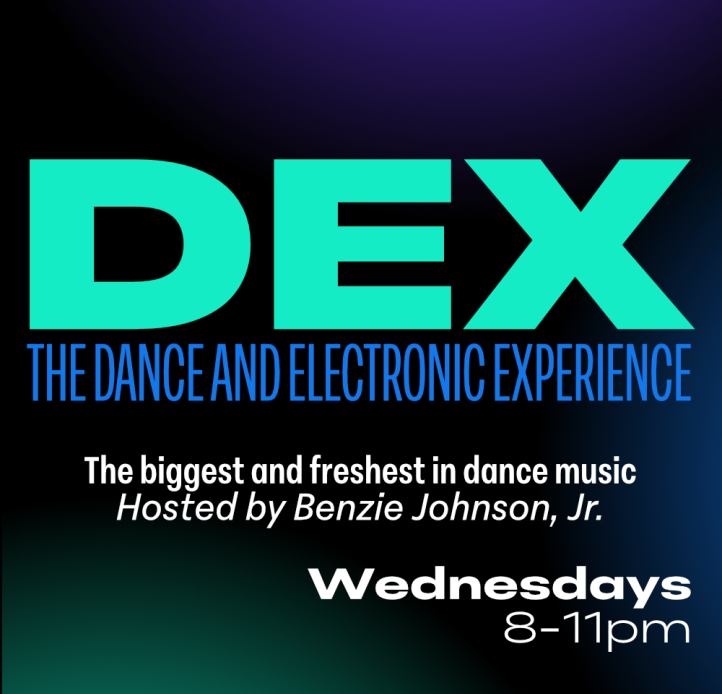 Logo for D.E.X.